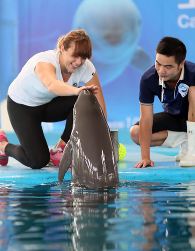 出高质量的 出高质量的