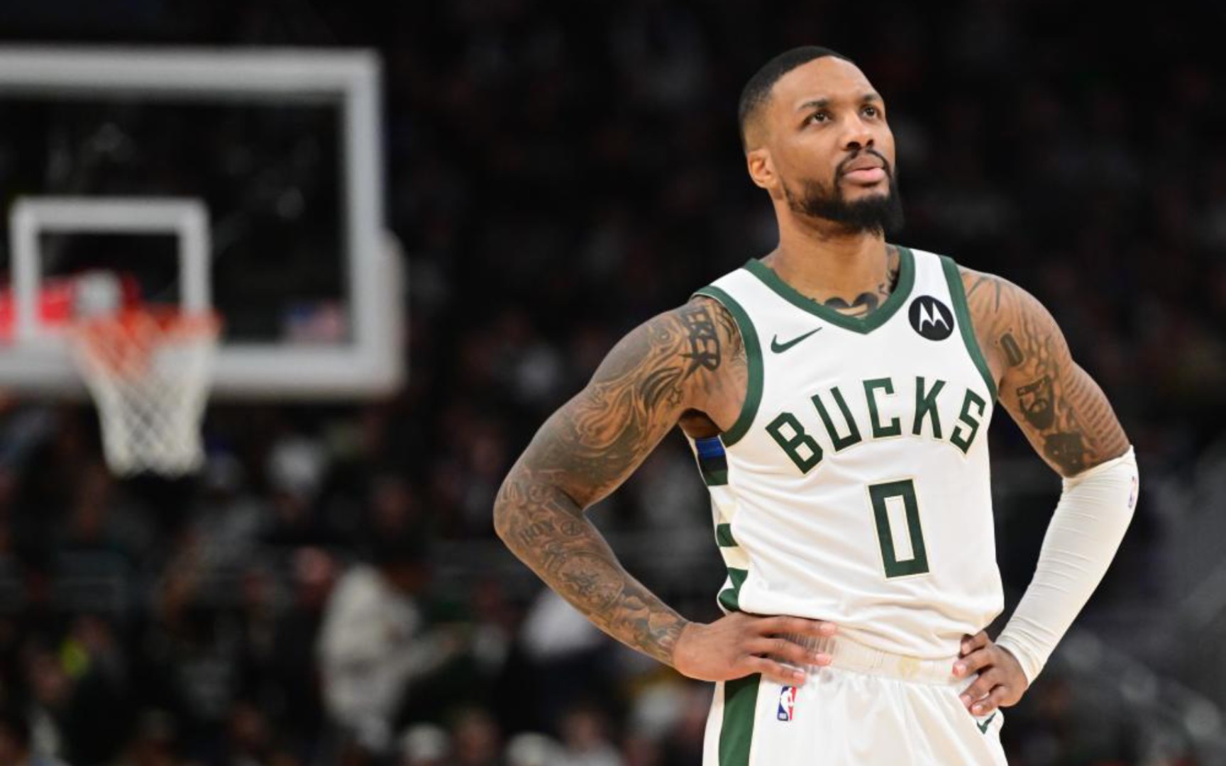 他们仍然稳 他们仍然稳