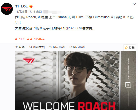 在跳水领域 在跳水领域