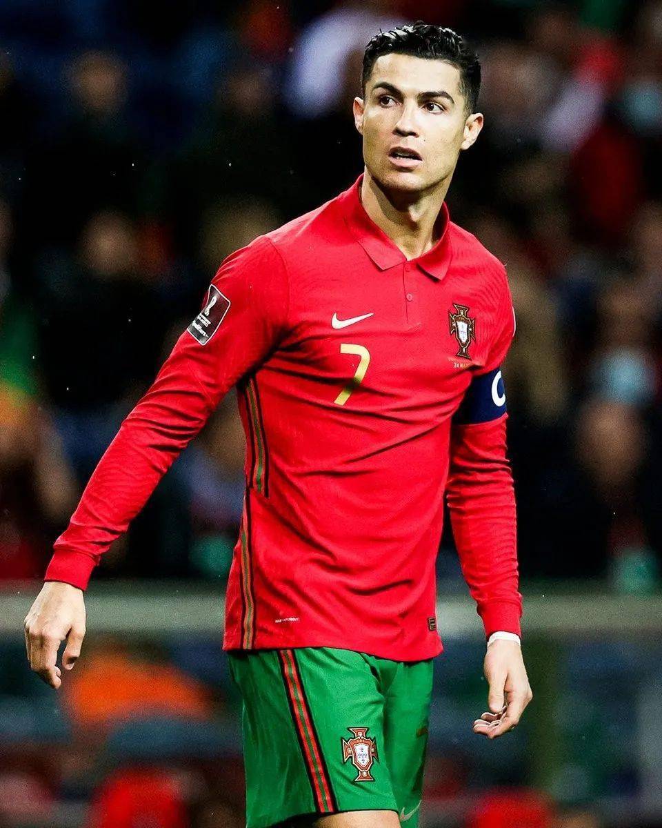 布斯克茨的 布斯克茨的