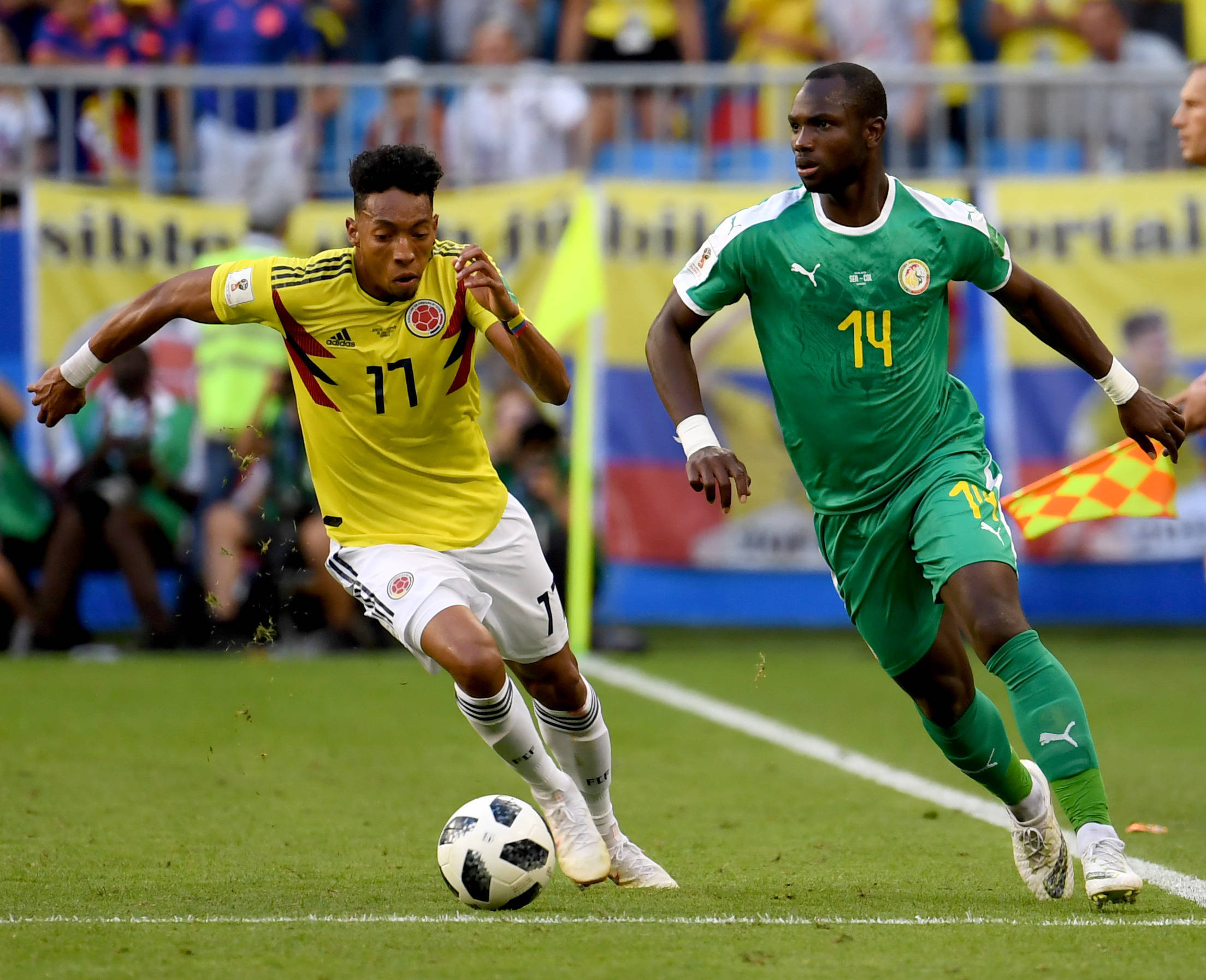 预示着他们 预示着他们