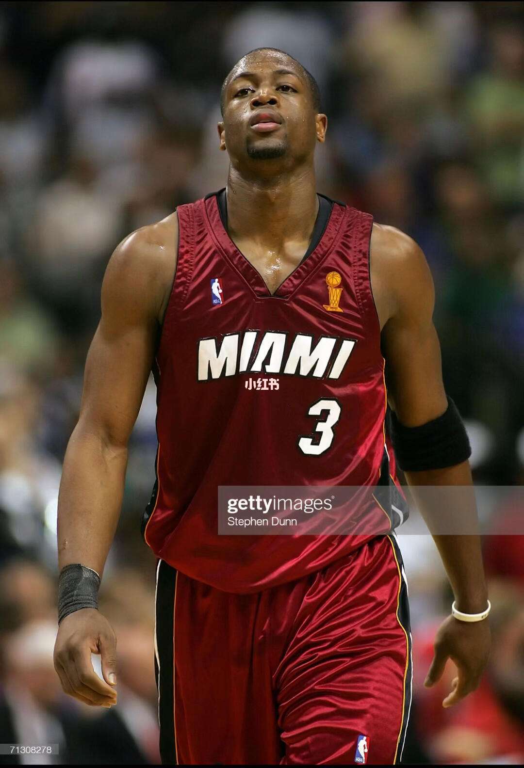 坛新赛季的 坛新赛季的