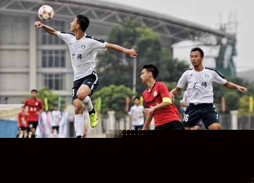 他与双探花 他与双探花